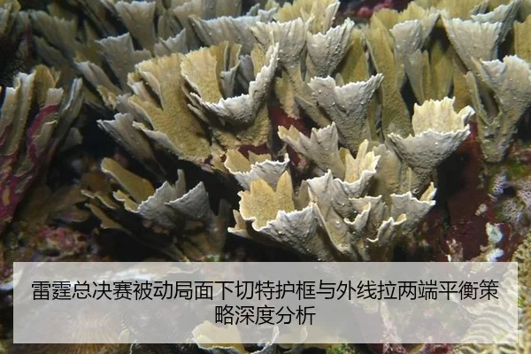 lei-ting-zong-jue-sai-bei-dong-ju-mian-xia-qie-te-hu-kuang-yu-wai-xian-la-liang-duan-ping-heng-ce-lve-shen-du-fen-xi-2-830.jpg